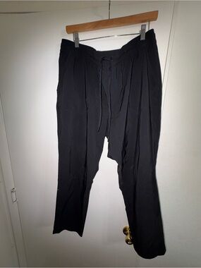 North face Women’s Plus Size Lightweight Drawstring Waist Relaxed Pants Size XXL